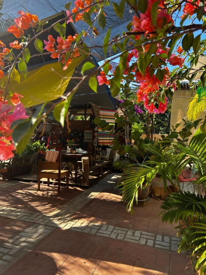 Peaceful Retreat Hidden Pxm - Ac & Starlink Wifi Homestay Puerto Escondido (Oaxaca)