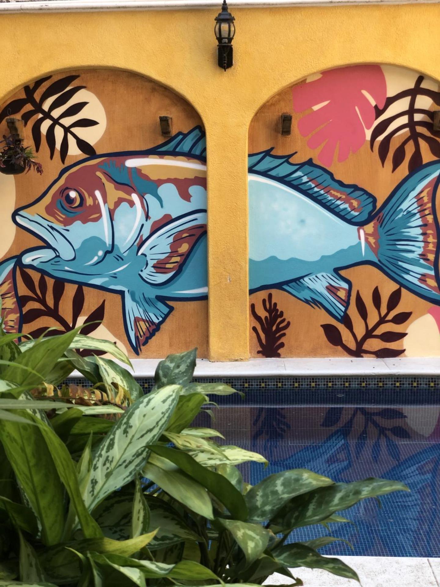 Pargos Hotel&cowork Puerto Escondido (Oaxaca)