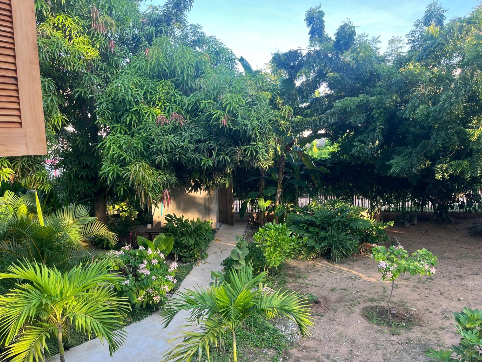 Agua De Coco Habitación en casa particular