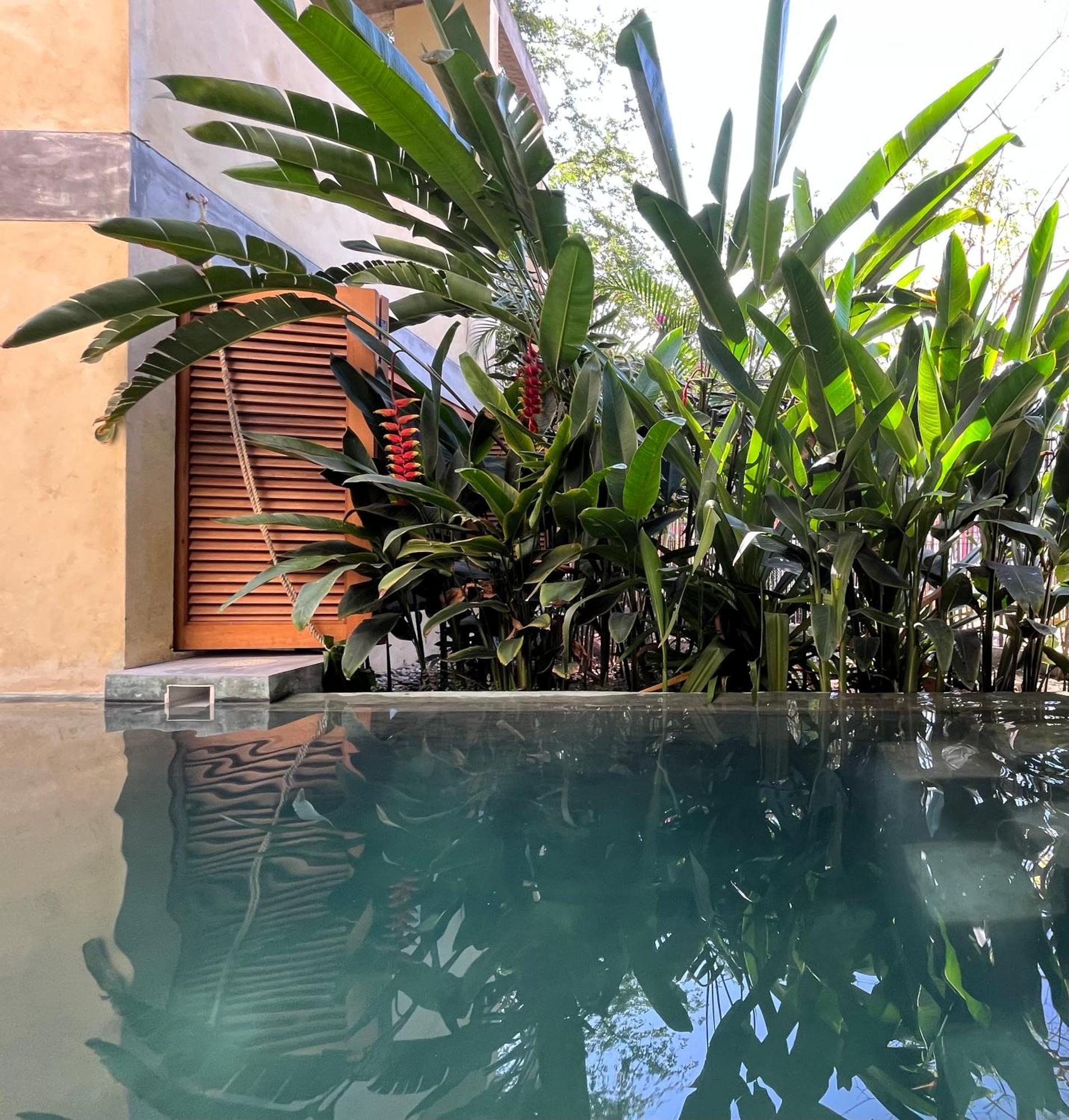 Agua De Coco Habitación en casa particular