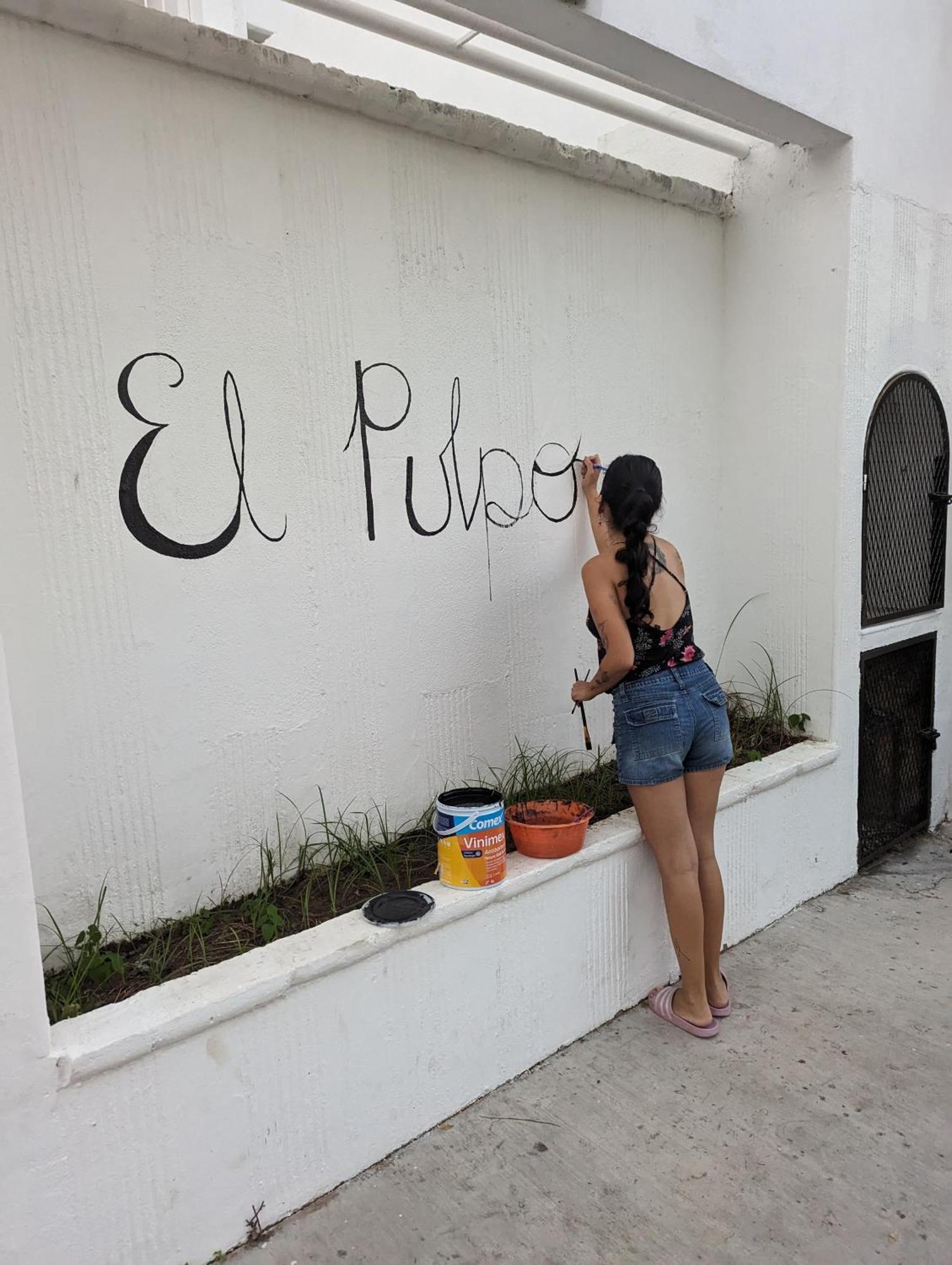 El Pulpo - Ac - Internet Starlink - Hot Water Puerto Escondido (Oaxaca)