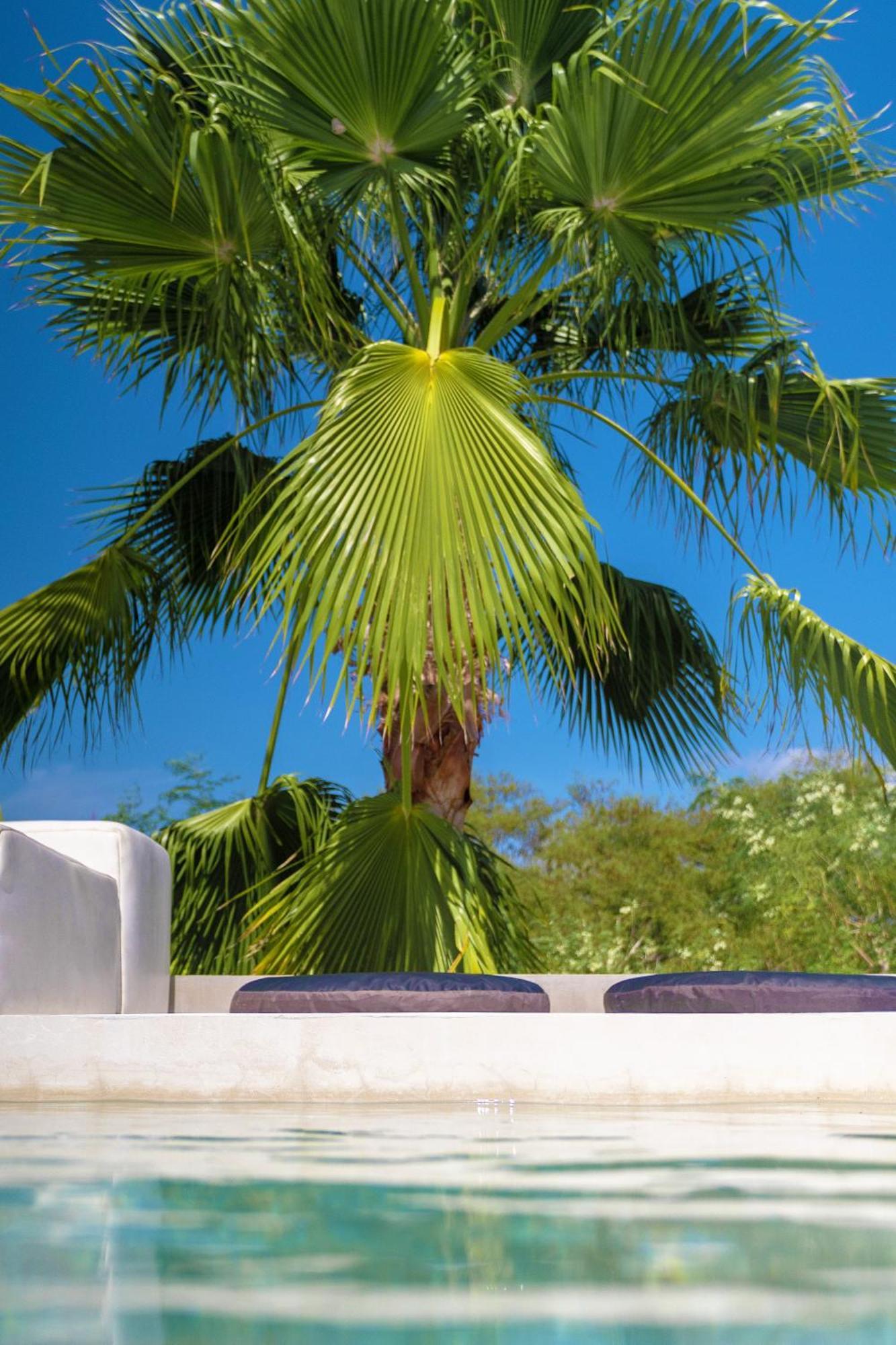 Villa Casa Sana - Healthy Lifestyle Luxury