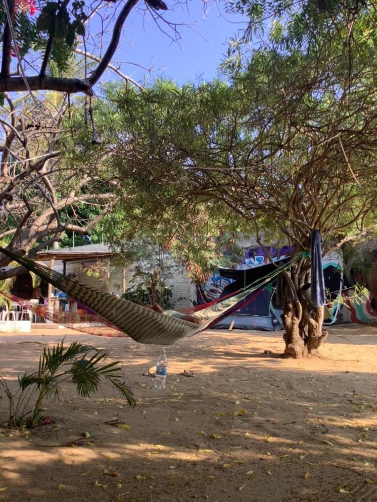 Mondala Carrizalillo Hostal Puerto Escondido (Oaxaca)