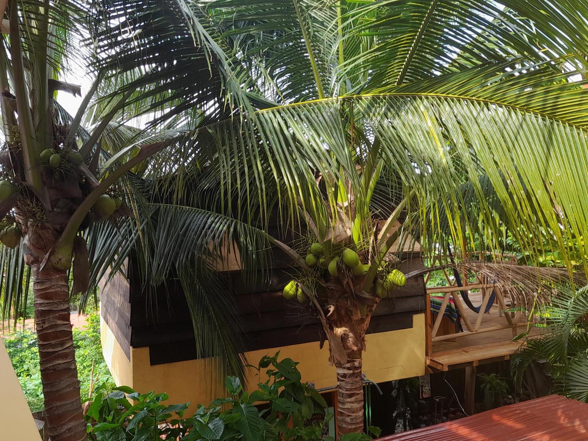 Lodge Casa Gio Puerto Escondido (Oaxaca)