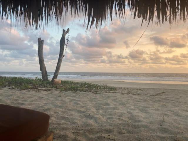 El Ranchito Puerto Escondido Beach Front Apartamento
