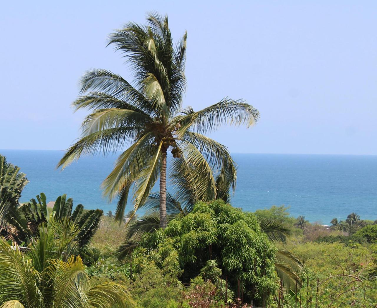 Villa Casa Sana - Healthy Lifestyle Luxury *