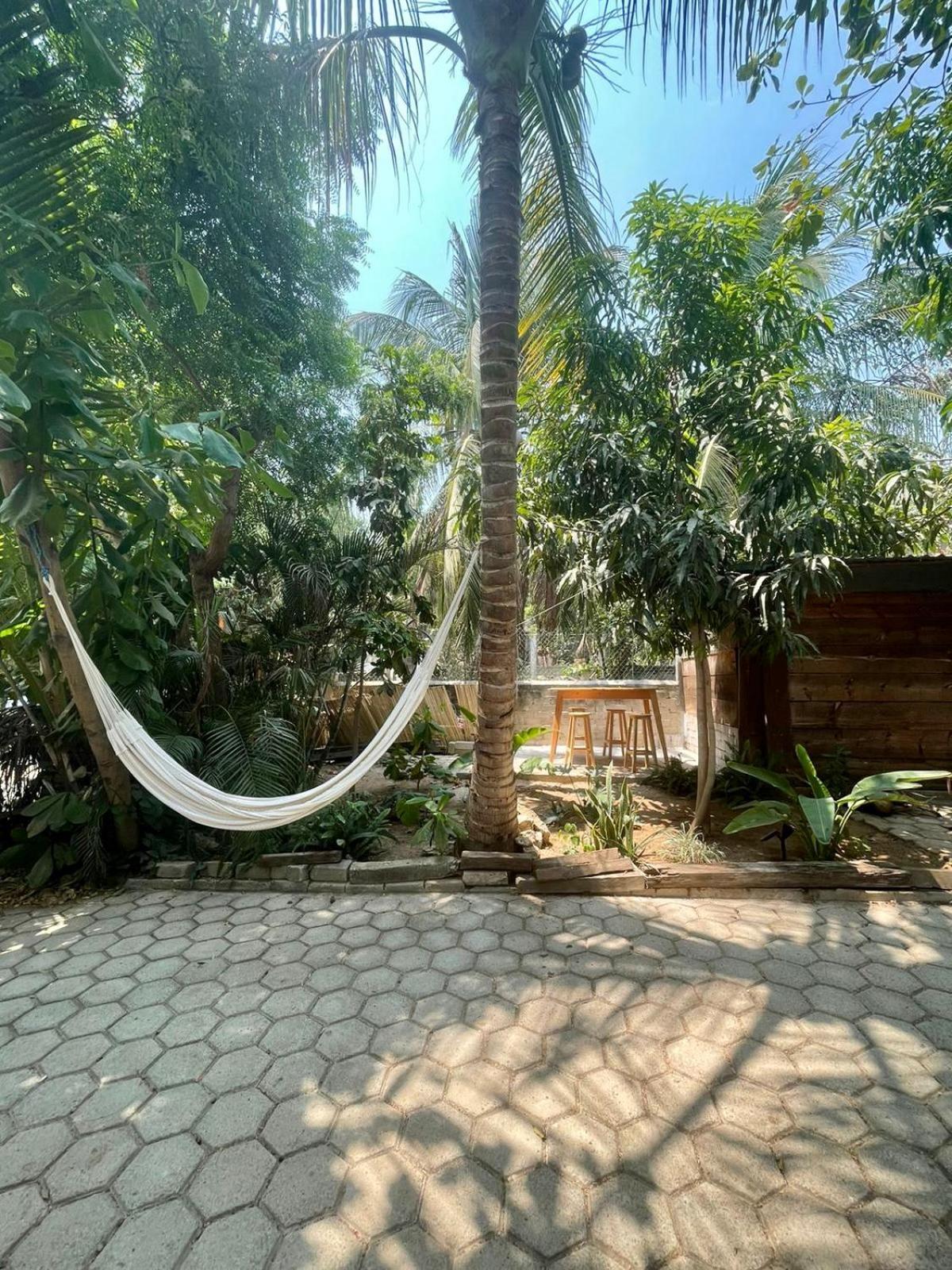 Guest house La Punta House Puerto Escondido (Oaxaca)