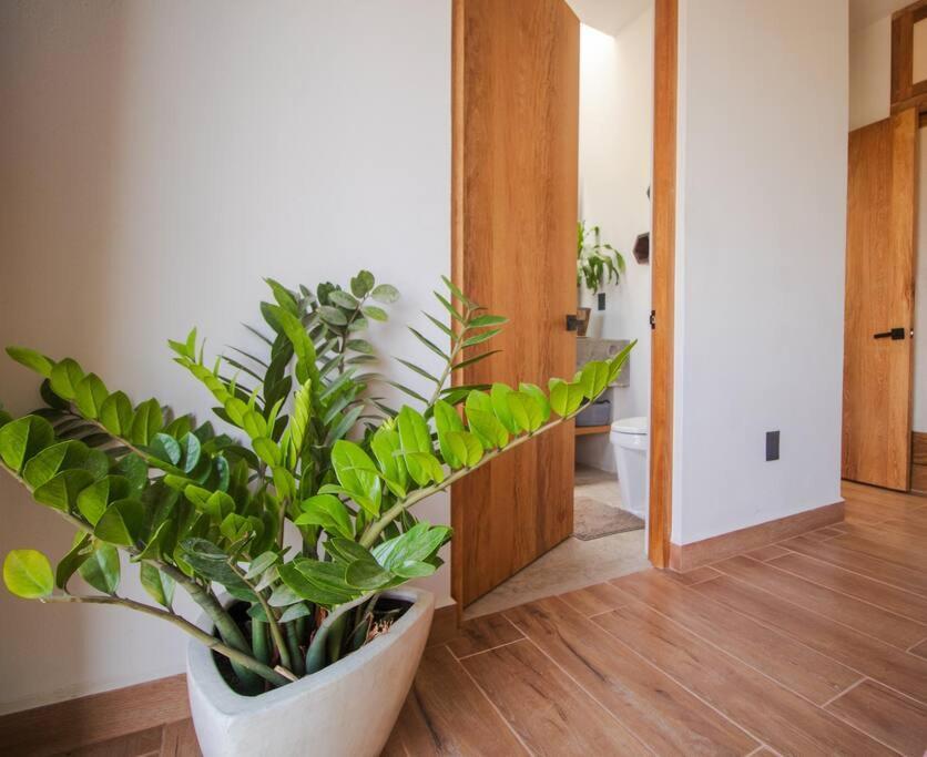 Holiday home Casa Dakini En La Punta With Pool And Ocean View Puerto Escondido (Oaxaca)