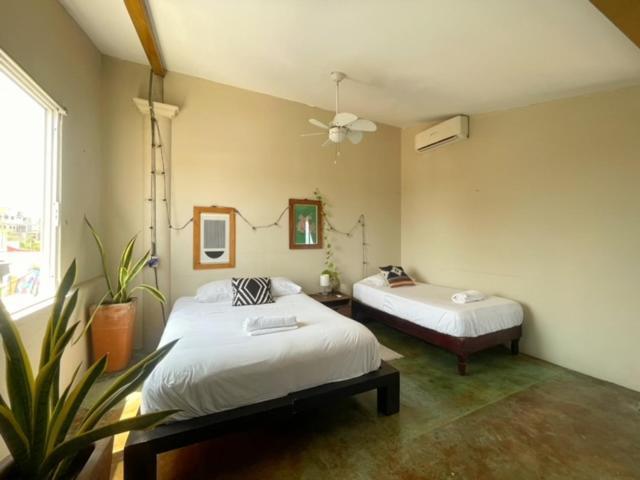 Departamento Pargos, Rinconada * Puerto Escondido (Oaxaca)