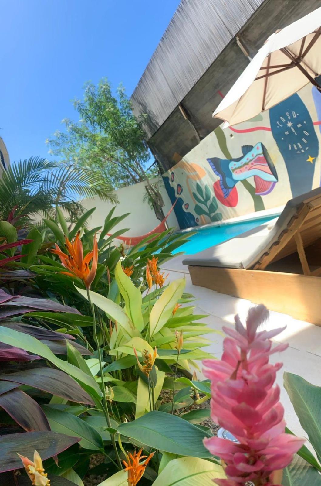 Casa Borka * Puerto Escondido (Oaxaca)