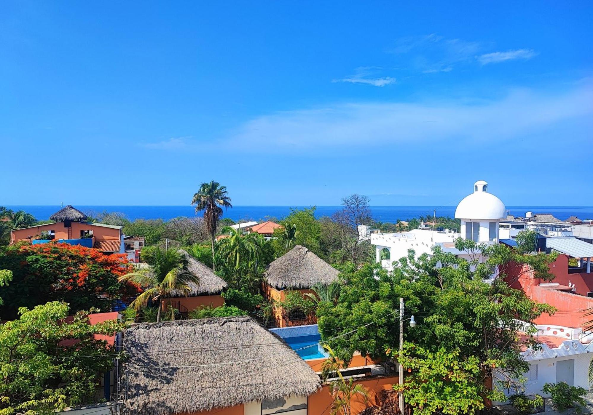 Adelfa Puerto Escondido (Oaxaca)