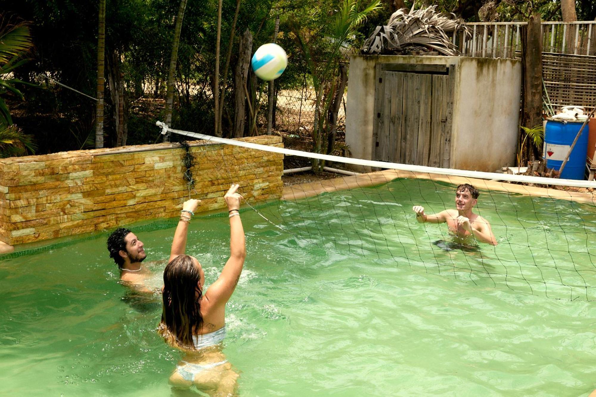 Nopalero Puerto Escondido (Oaxaca)