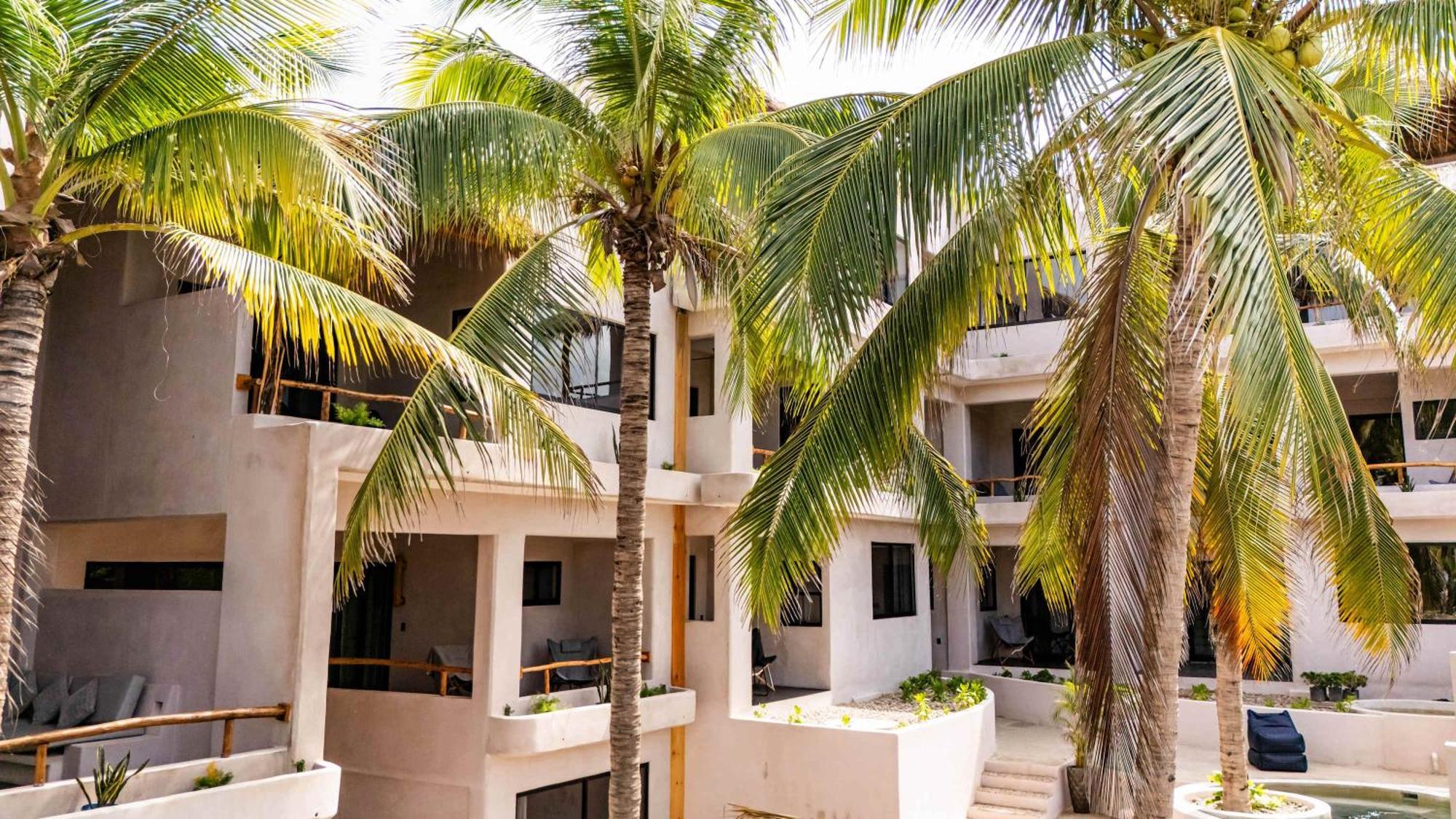 Casa Leah - Full Ocean View Apartment- Zicatela - Ac In Bedroom - Steps To - Steps To La Punta * Puerto Escondido (Oaxaca)