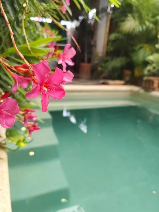 Tiny House 4 Jaguar * Puerto Escondido (Oaxaca)