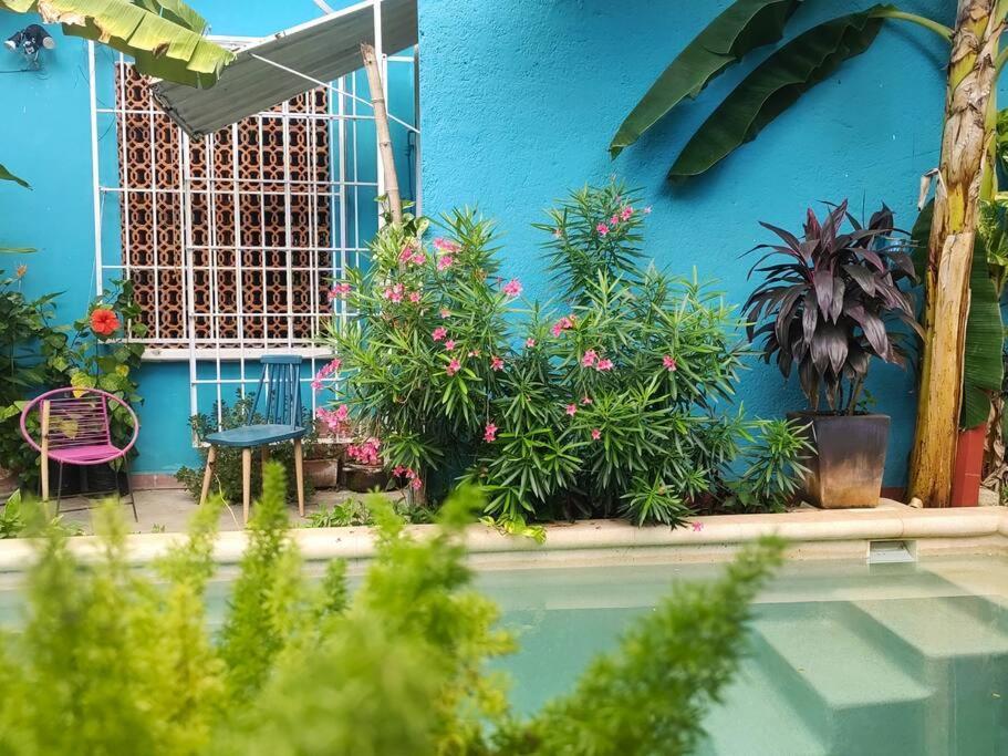 Сasa de vacaciones Tiny House 4 Jaguar *