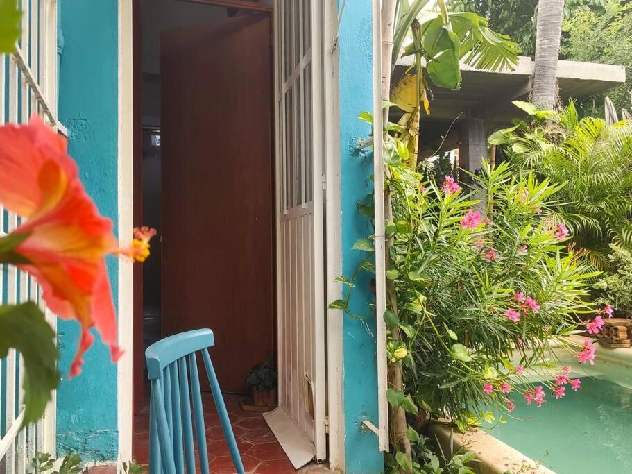 Tiny House 4 Jaguar Puerto Escondido (Oaxaca)