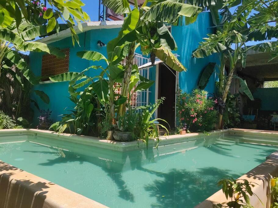 Tiny House 4 Jaguar * Puerto Escondido (Oaxaca)