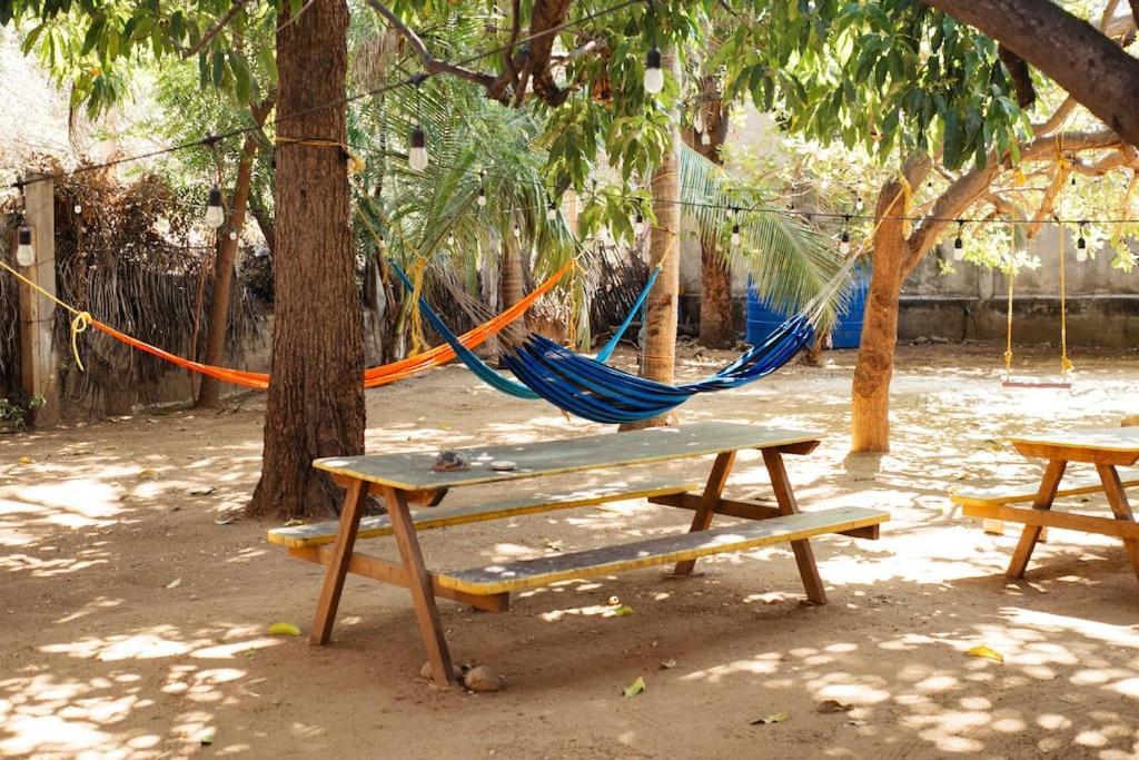 Budget 1br! Prime Location And Starlink Wifi Apartamento Puerto Escondido (Oaxaca)