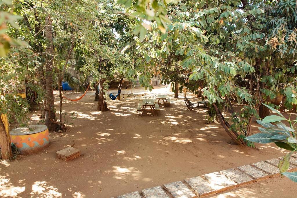 Budget 1br With Starlink Wifi, 3 Min To Beach! Apartamento Puerto Escondido (Oaxaca)
