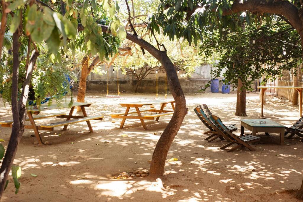 Budget 1br With Starlink Wifi, 3 Min To Beach! *