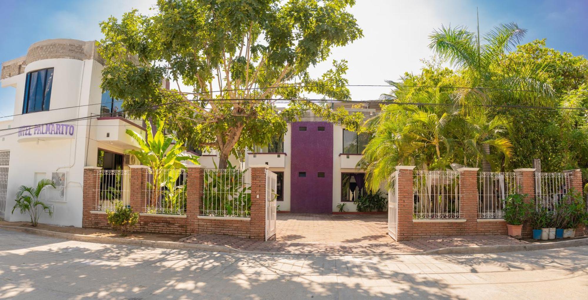 Palmarito *