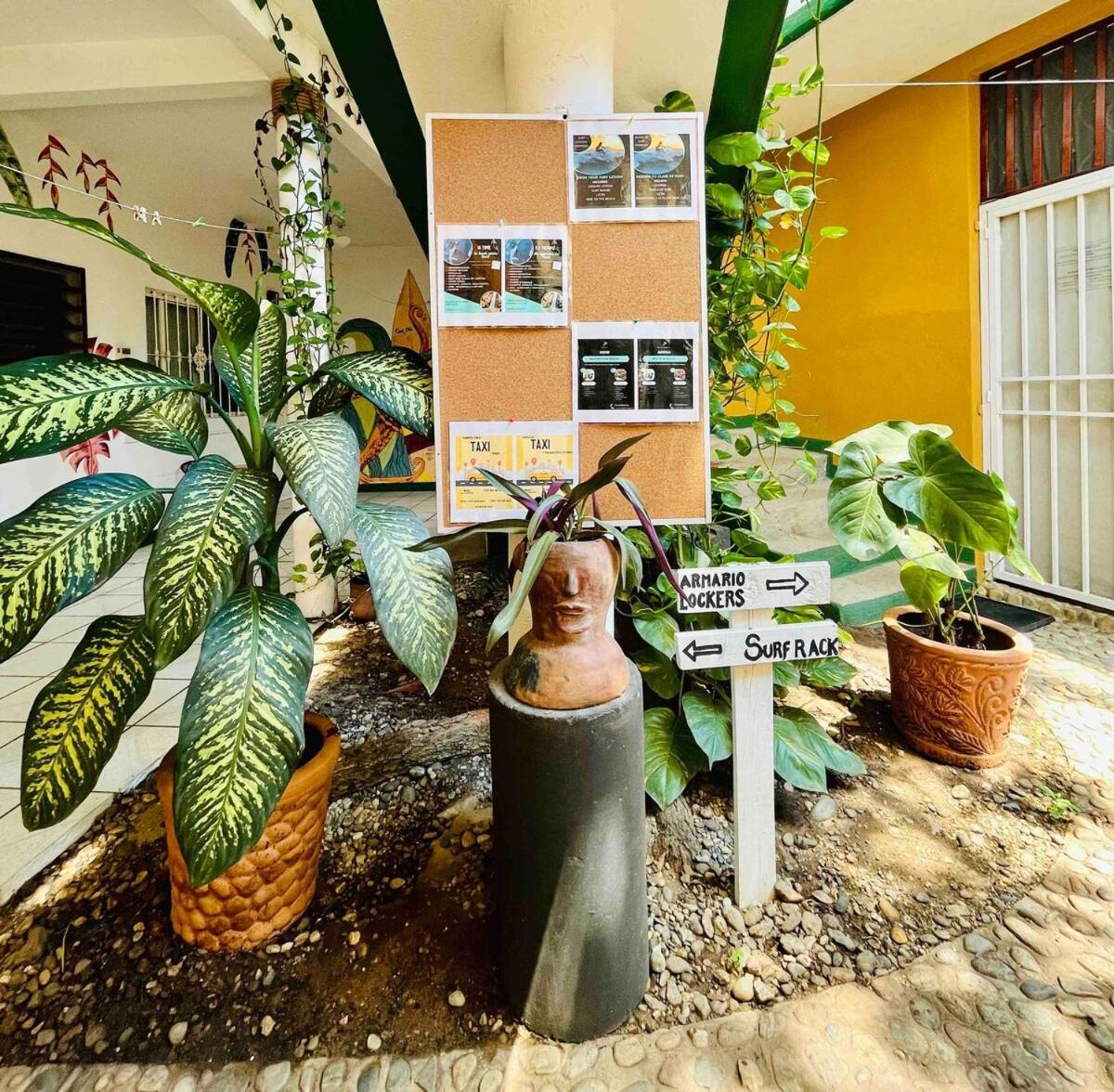 Hotel Palmar La Punta 2 Starlink 2min Walk To The *