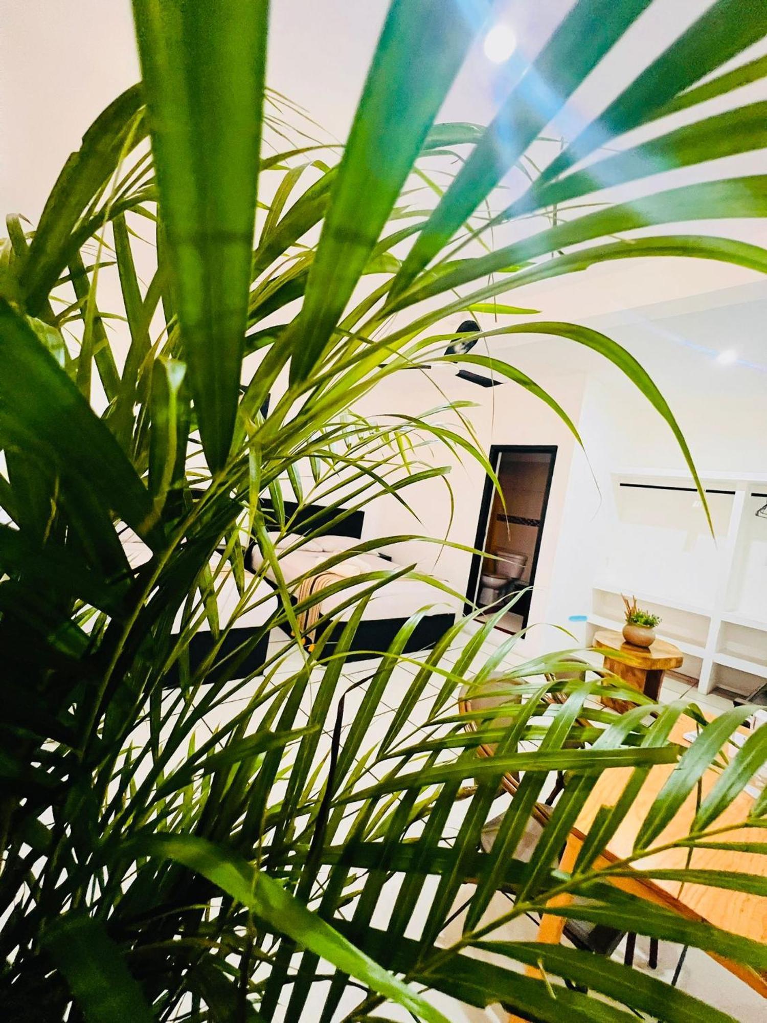 Guest house In Guest - With Blacony And Sea View *