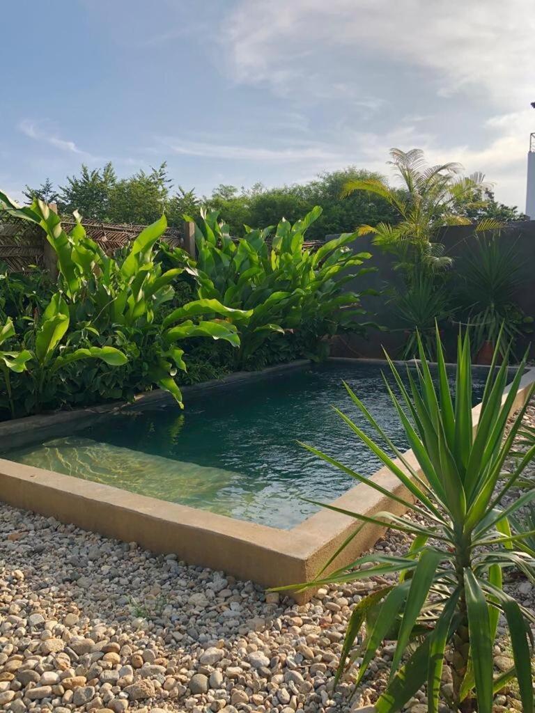 Casa Bahareque Villa