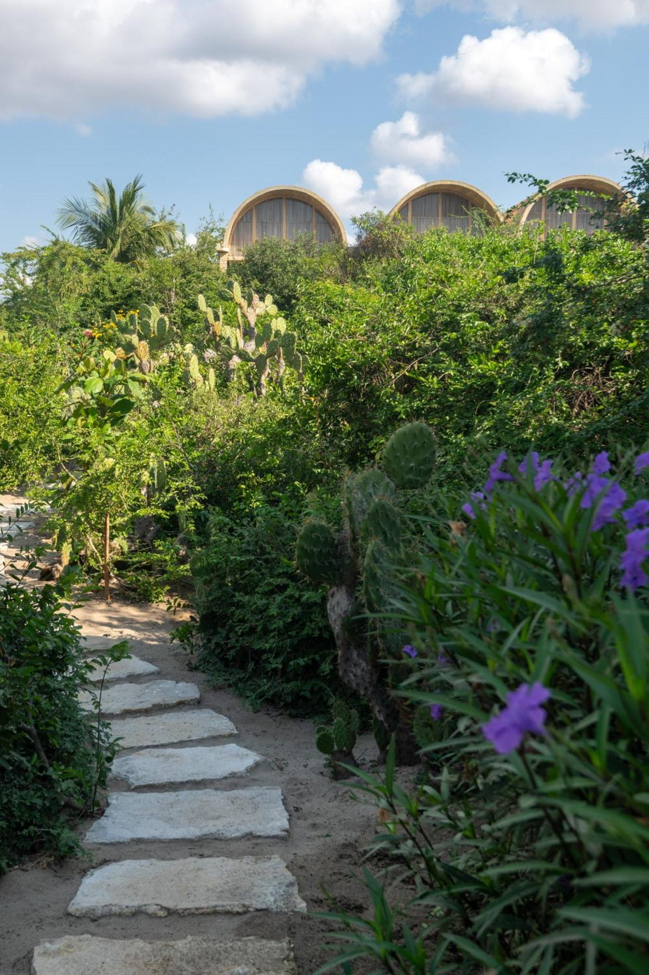 Casa Pua * Puerto Escondido (Oaxaca)