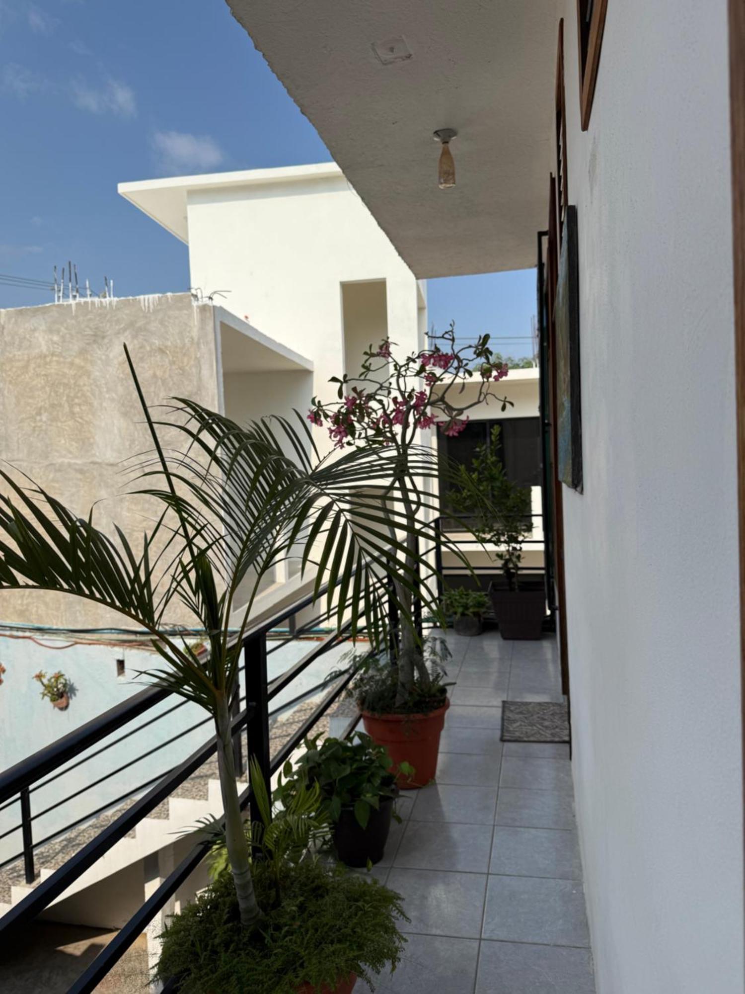 Guest house Casa Rockot