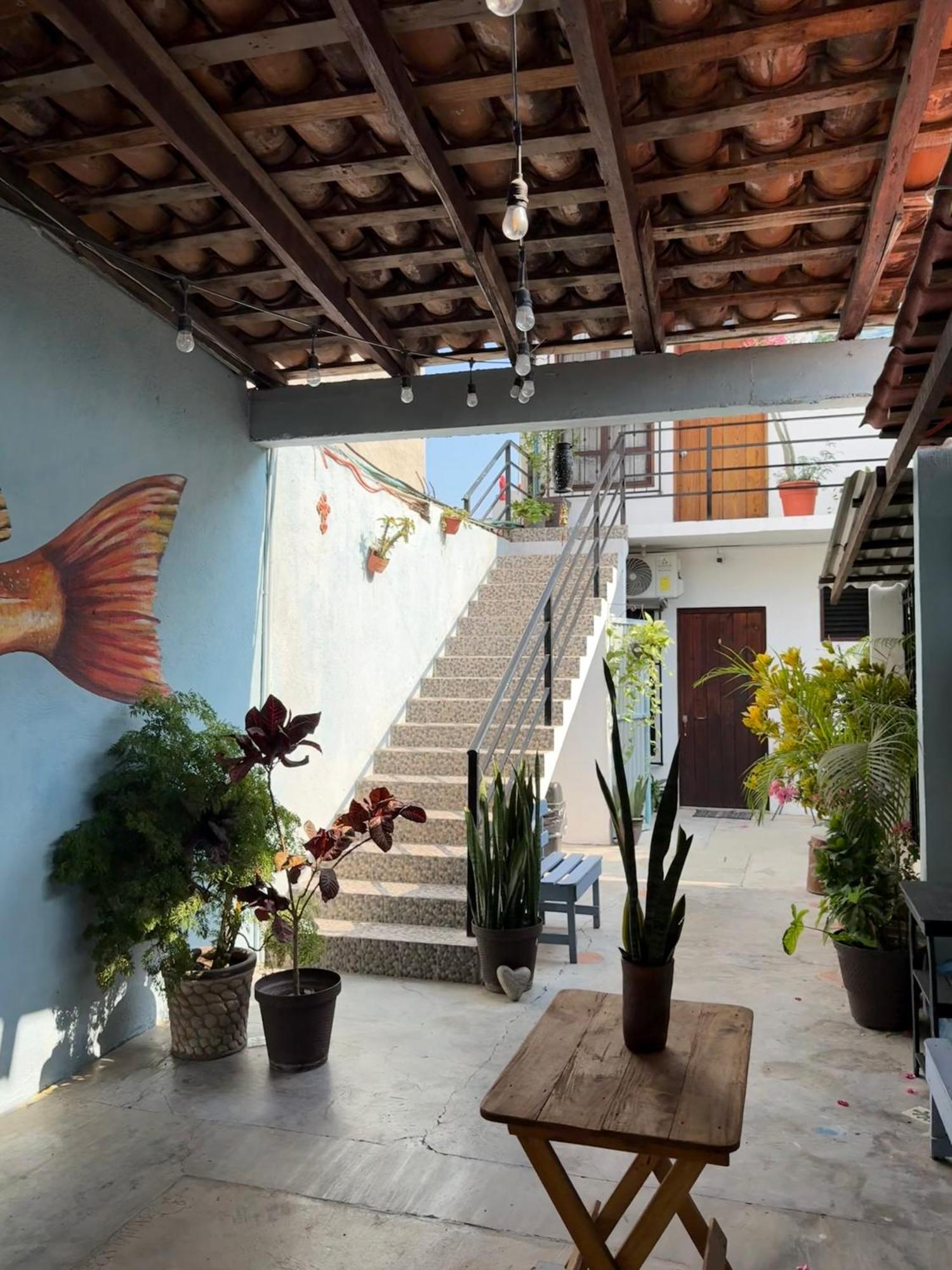 Casa Rockot