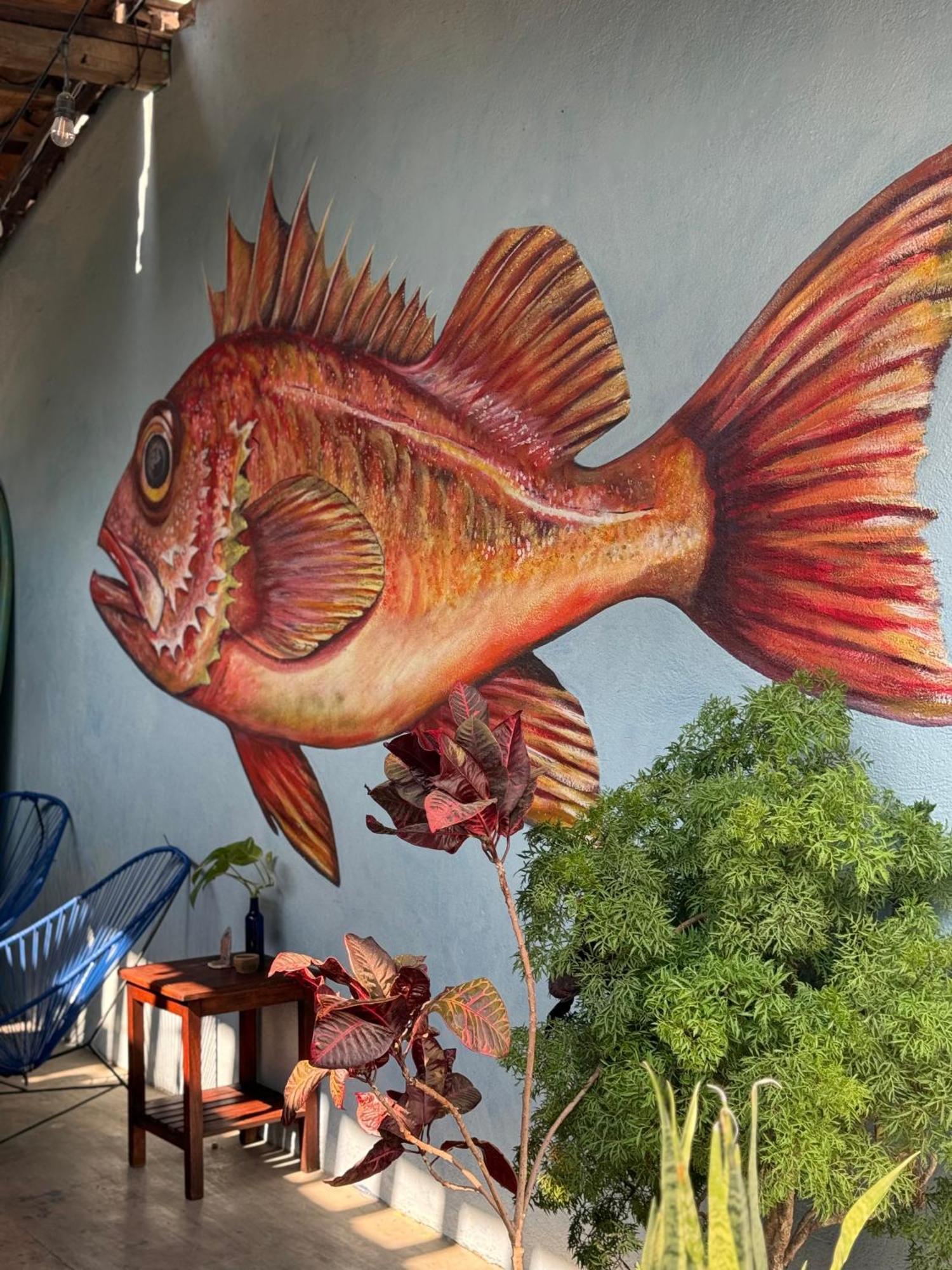 Casa Rockot Guest house