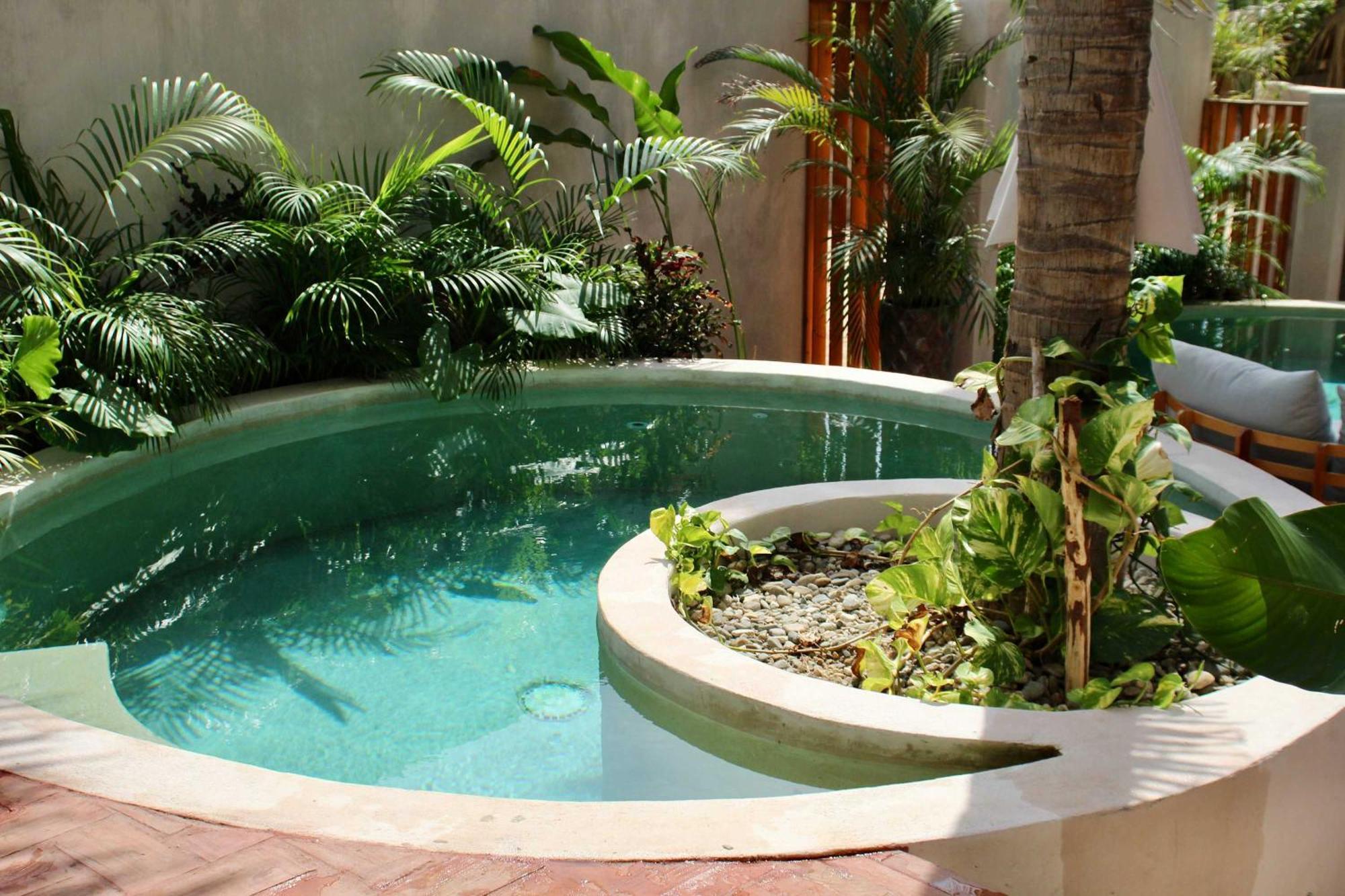 Apartamento Casa Leah In Zicatela - Luxury Boutique - With Private Plunge Pool - Steps From The And La Punta - Ac In Bedroom - 8 Puerto Escondido (Oaxaca)