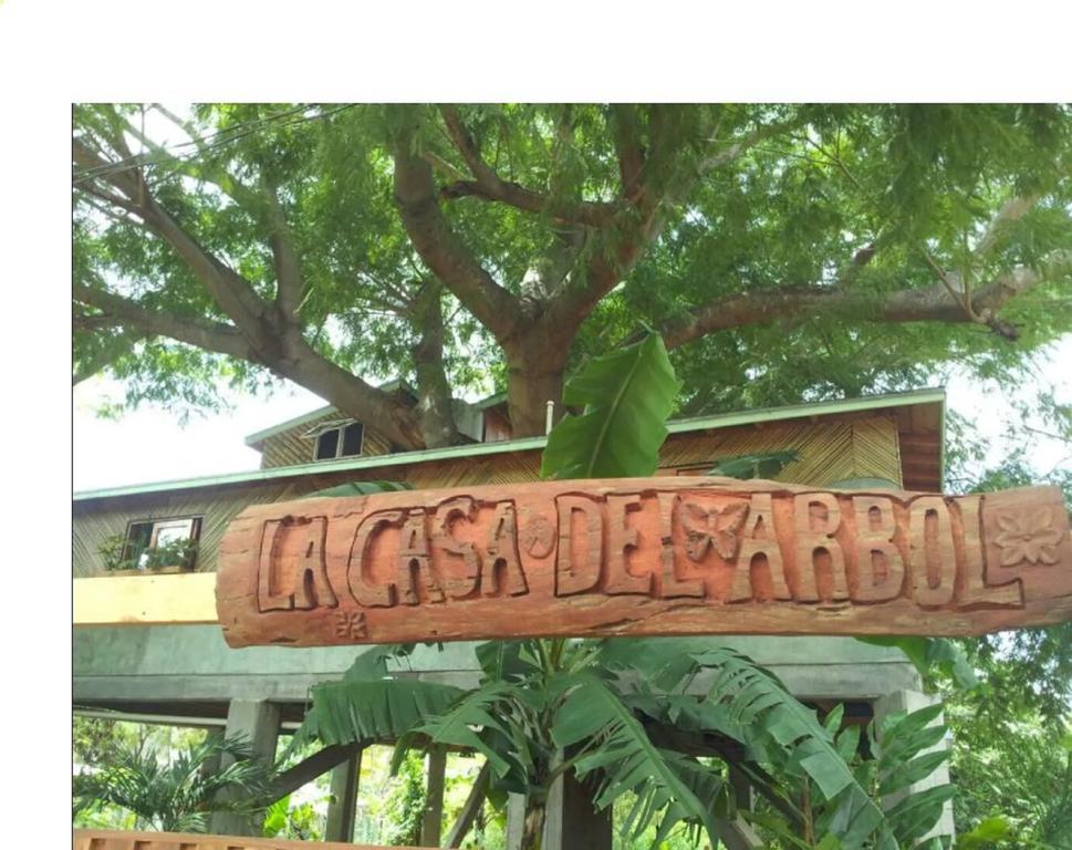La Casa Del Arbol Guest house *