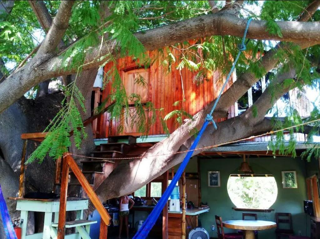 La Casa Del Arbol Guest house Puerto Escondido (Oaxaca)