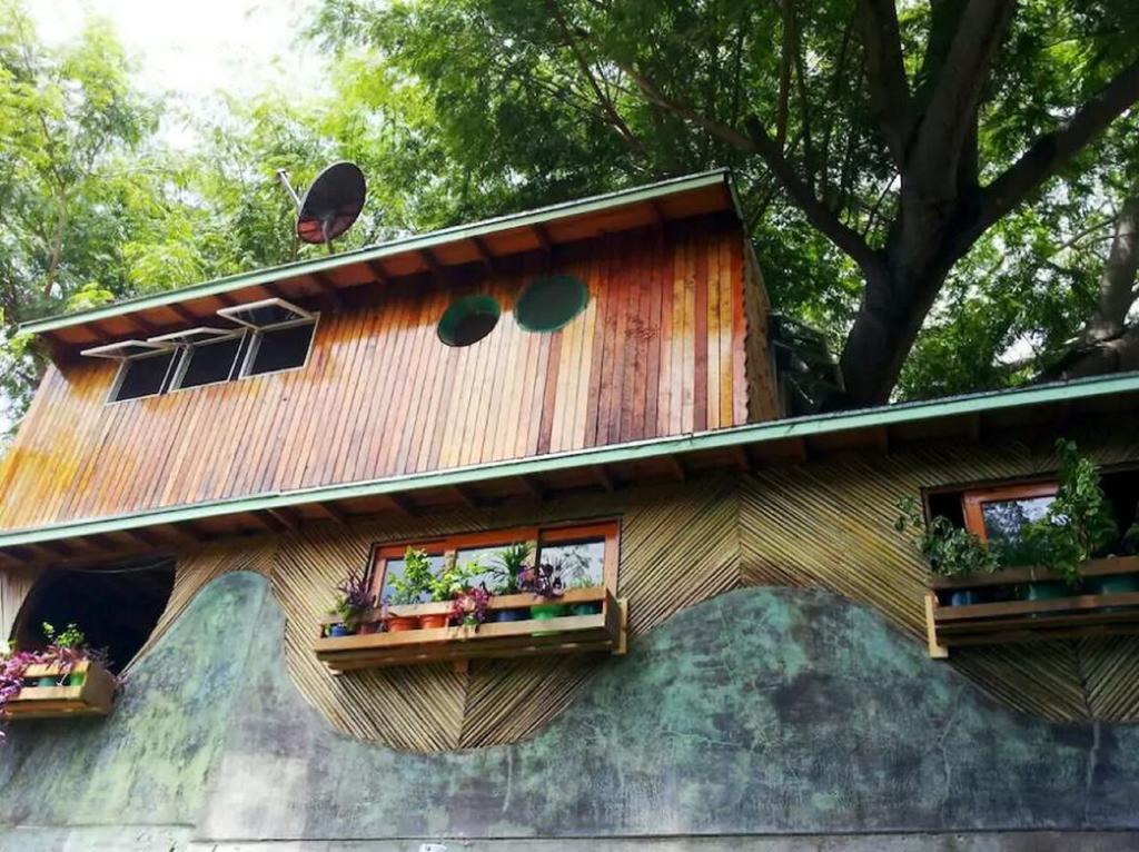 La Casa Del Arbol Puerto Escondido (Oaxaca)