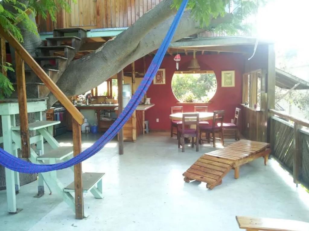 Guest house La Casa Del Arbol