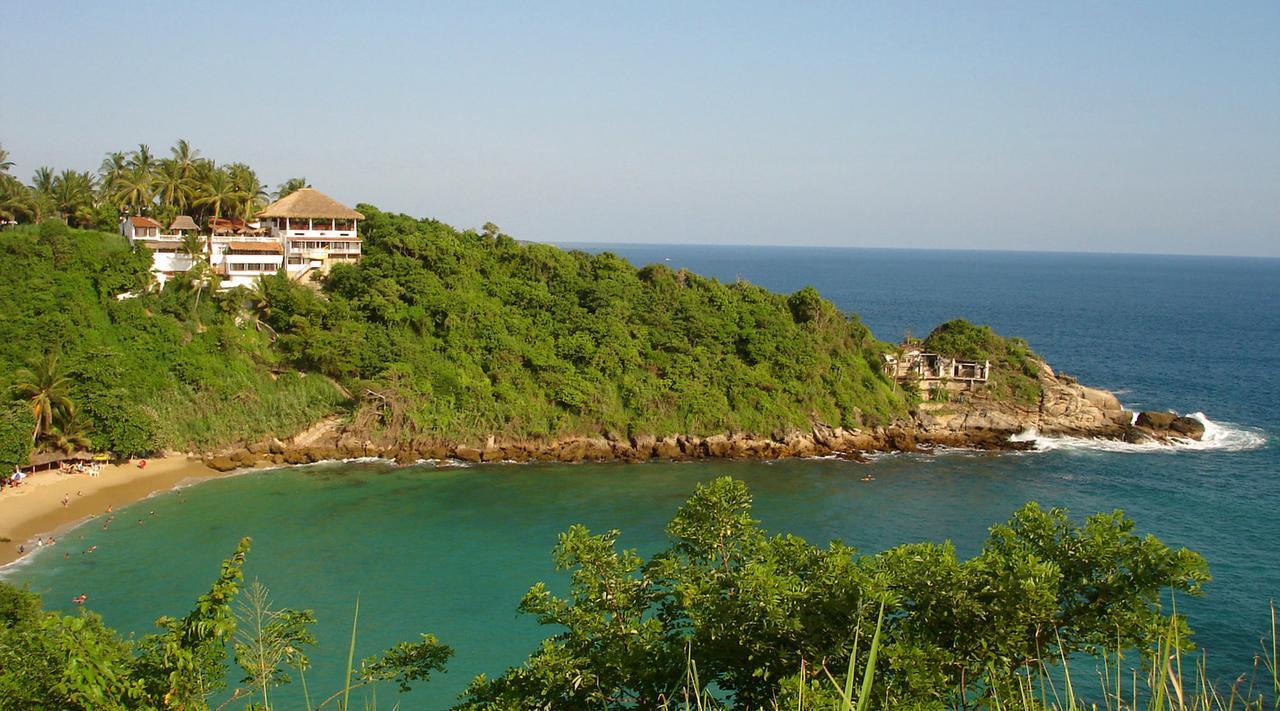 Carrizalillo * Puerto Escondido (Oaxaca)