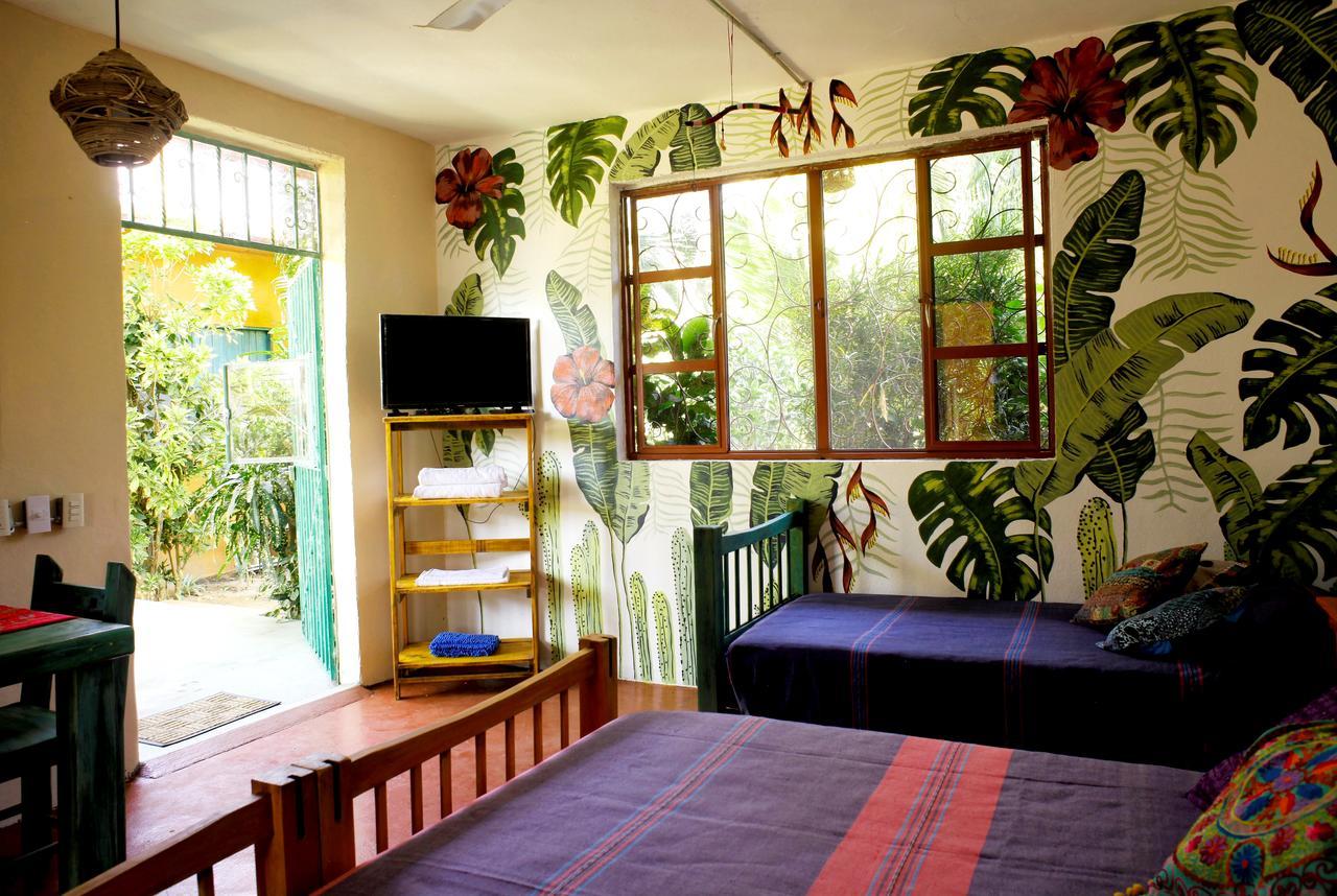 Tres Casitas, Casa Viva