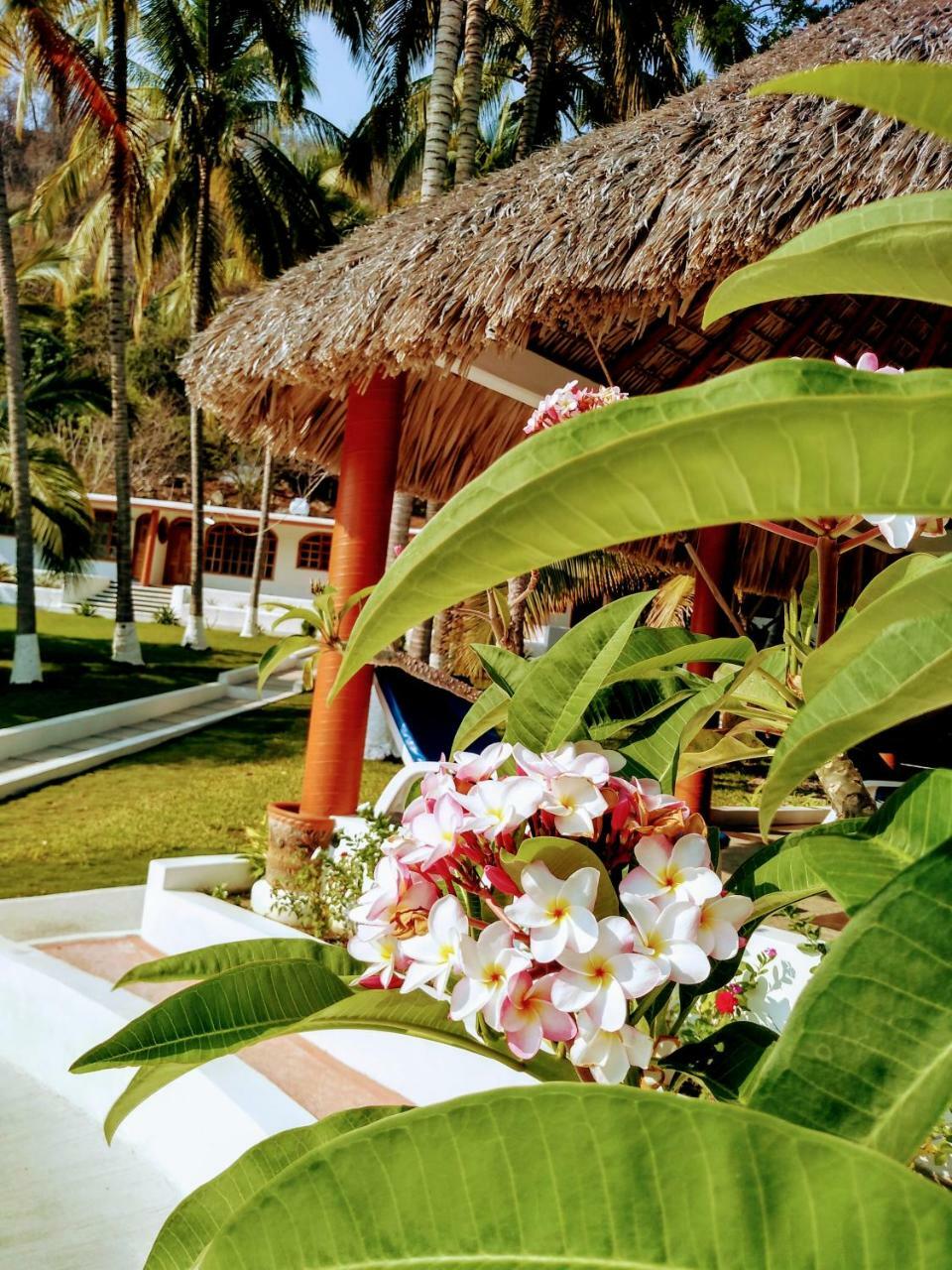Hotel Y Club Campestre Altos Paraiso 4*