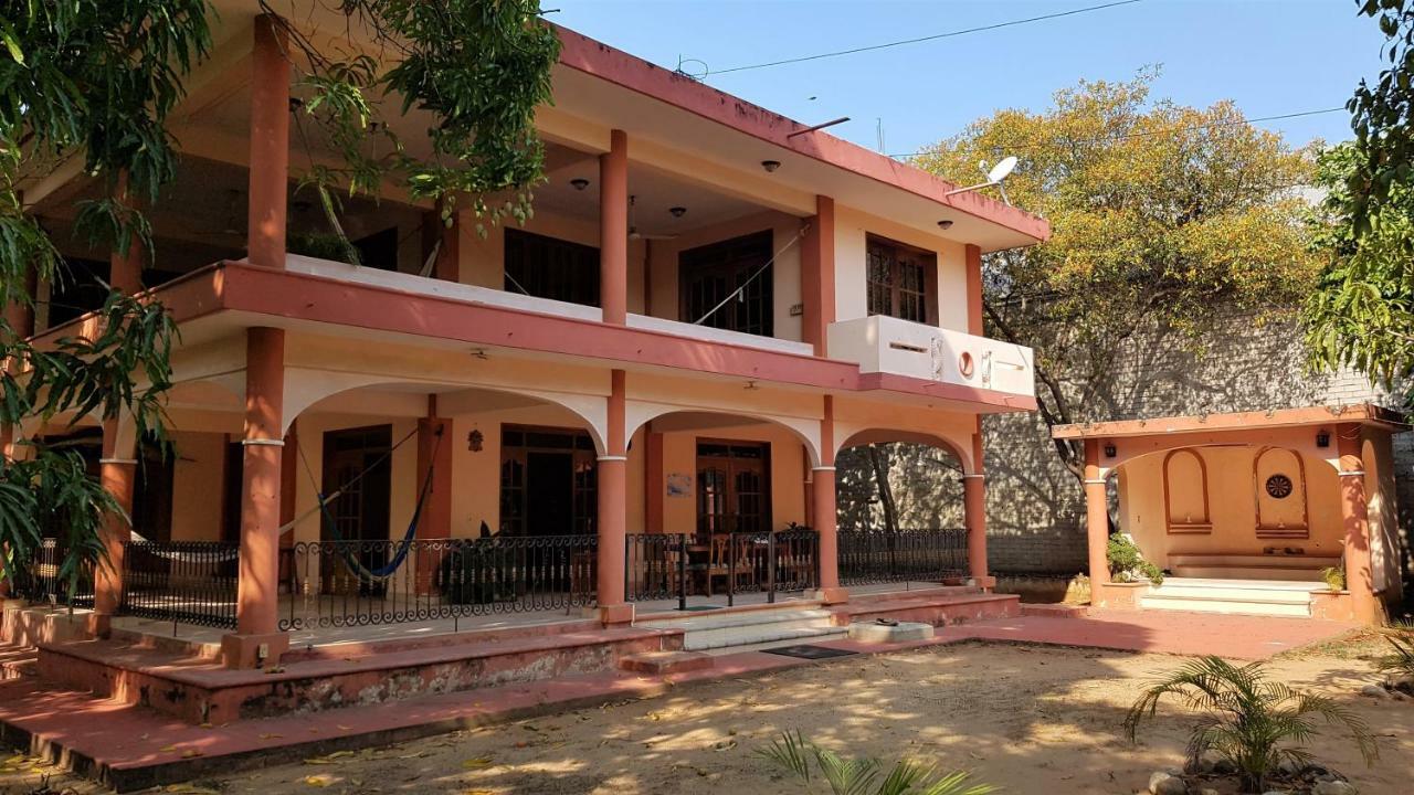 Hostel Mango *