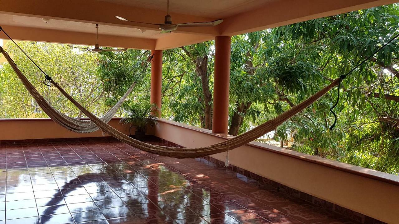Mango Puerto Escondido (Oaxaca)