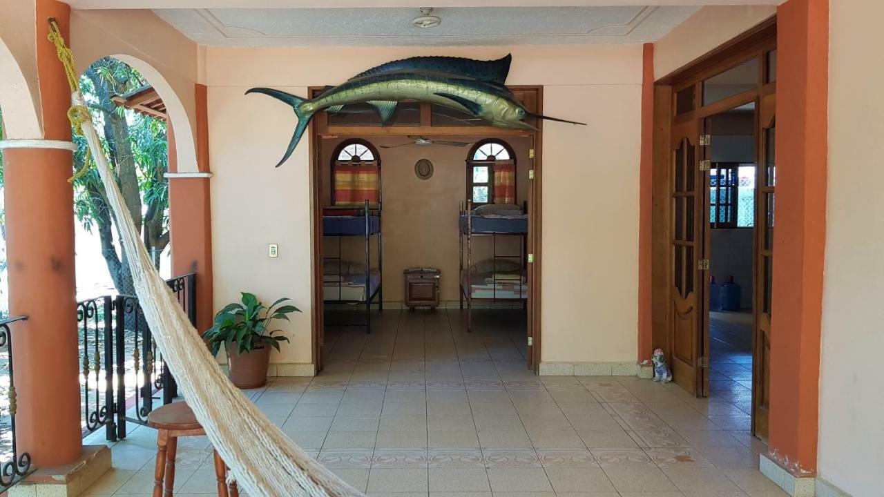 Hostel Mango *