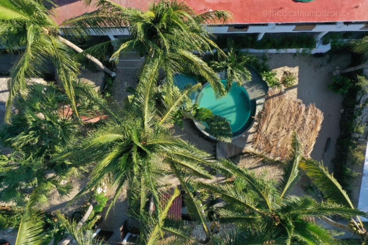 Valhalla House * Puerto Escondido (Oaxaca)